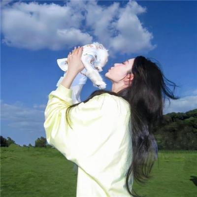 寅次郎的故事20：加油啊！寅次郎